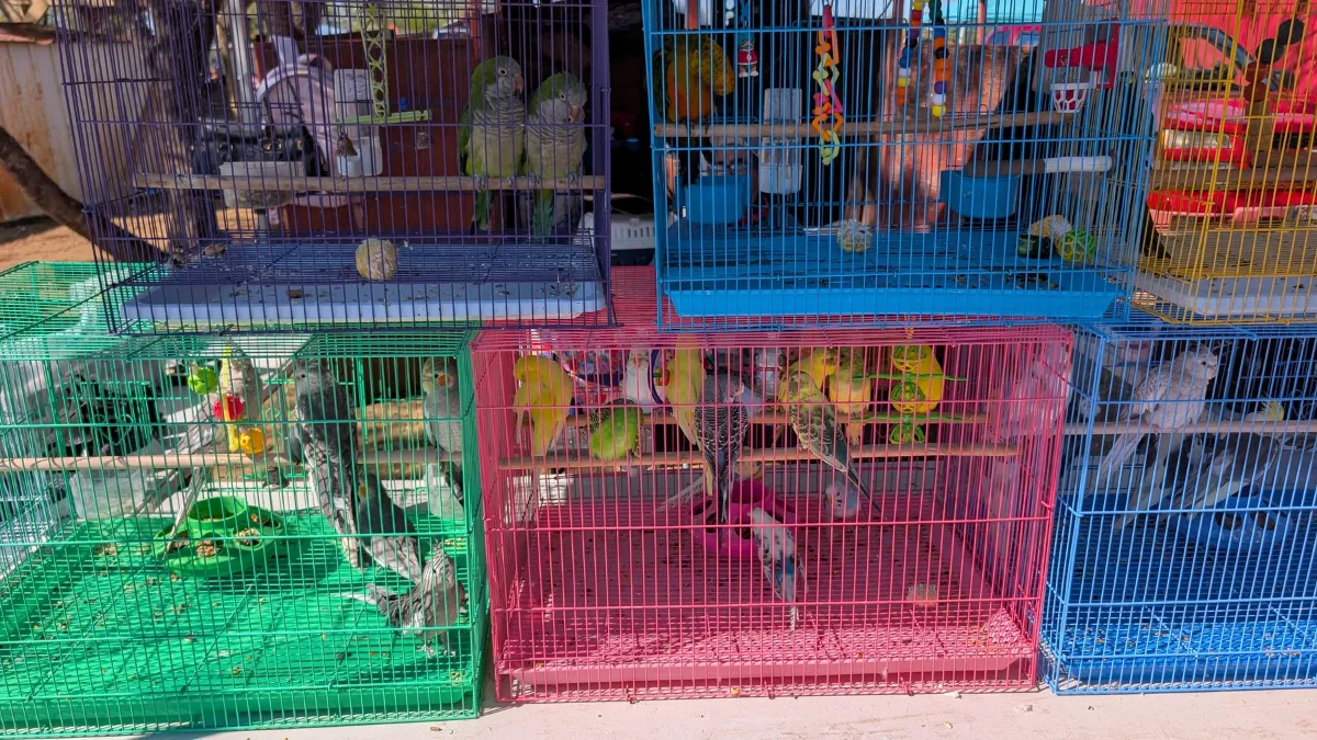 Las Esperanza Flea Market