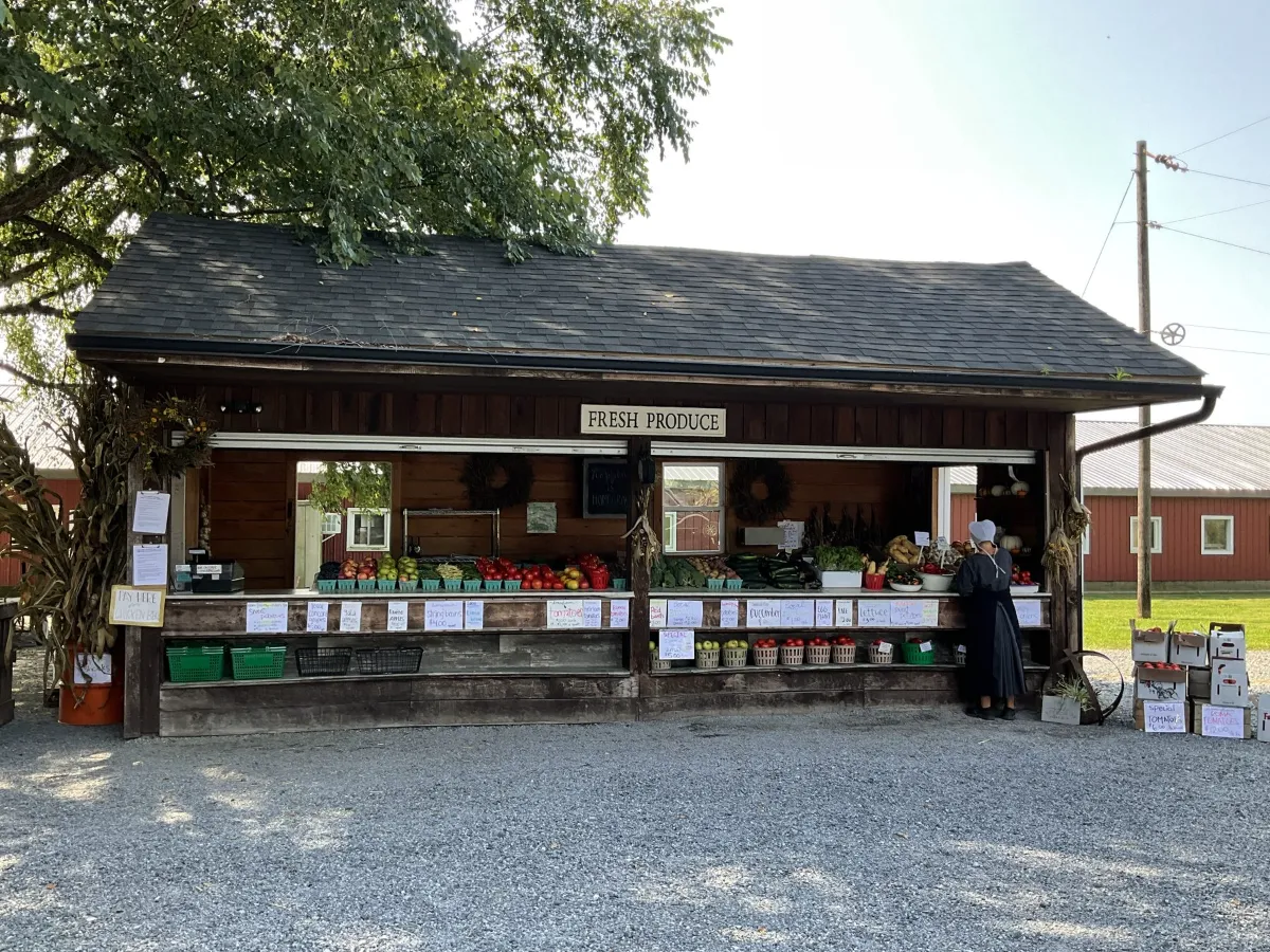 Lapp's Farm Market