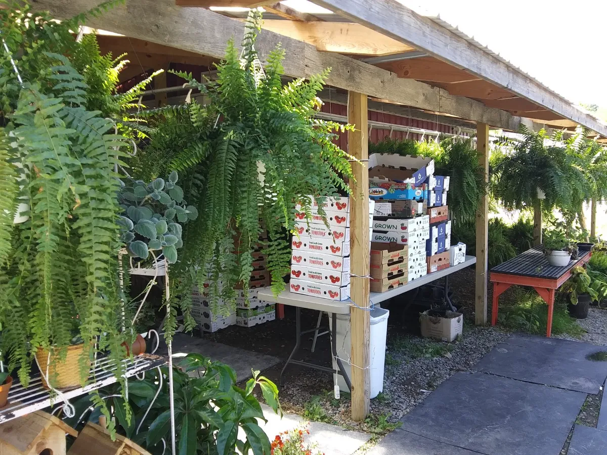 Lavern's Country Market
